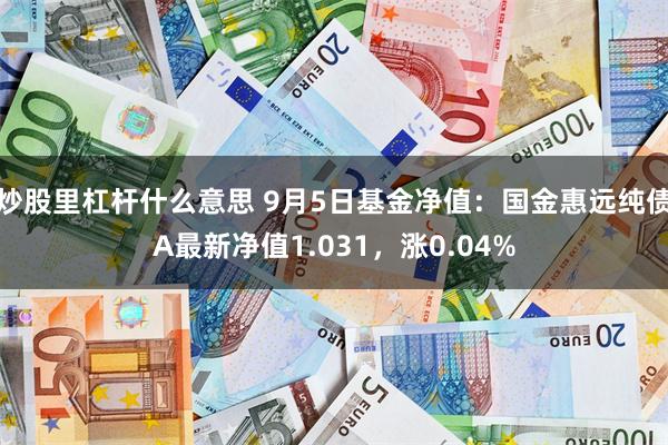 炒股里杠杆什么意思 9月5日基金净值：国金惠远纯债A最新净值1.031，涨0.04%