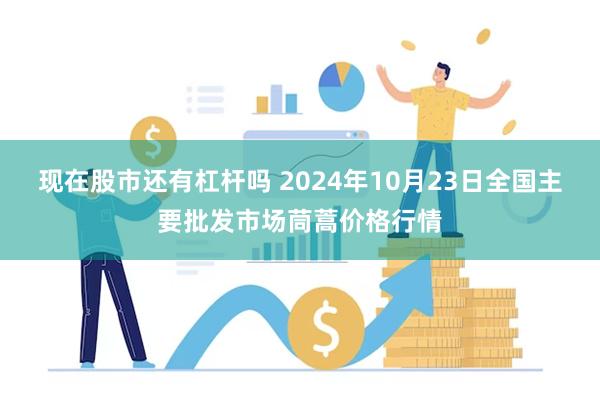 现在股市还有杠杆吗 2024年10月23日全国主要批发市场茼蒿价格行情