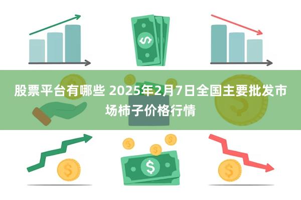 股票平台有哪些 2025年2月7日全国主要批发市场柿子价格行情