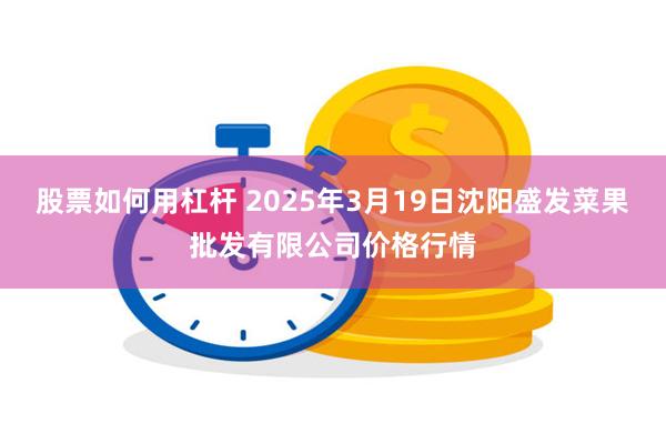 股票如何用杠杆 2025年3月19日沈阳盛发菜果批发有限公司价格行情